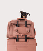 Large Soft-Sided Pet Carrier product image 7