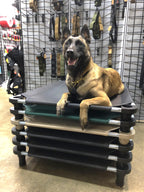 Dog Cot product image 2