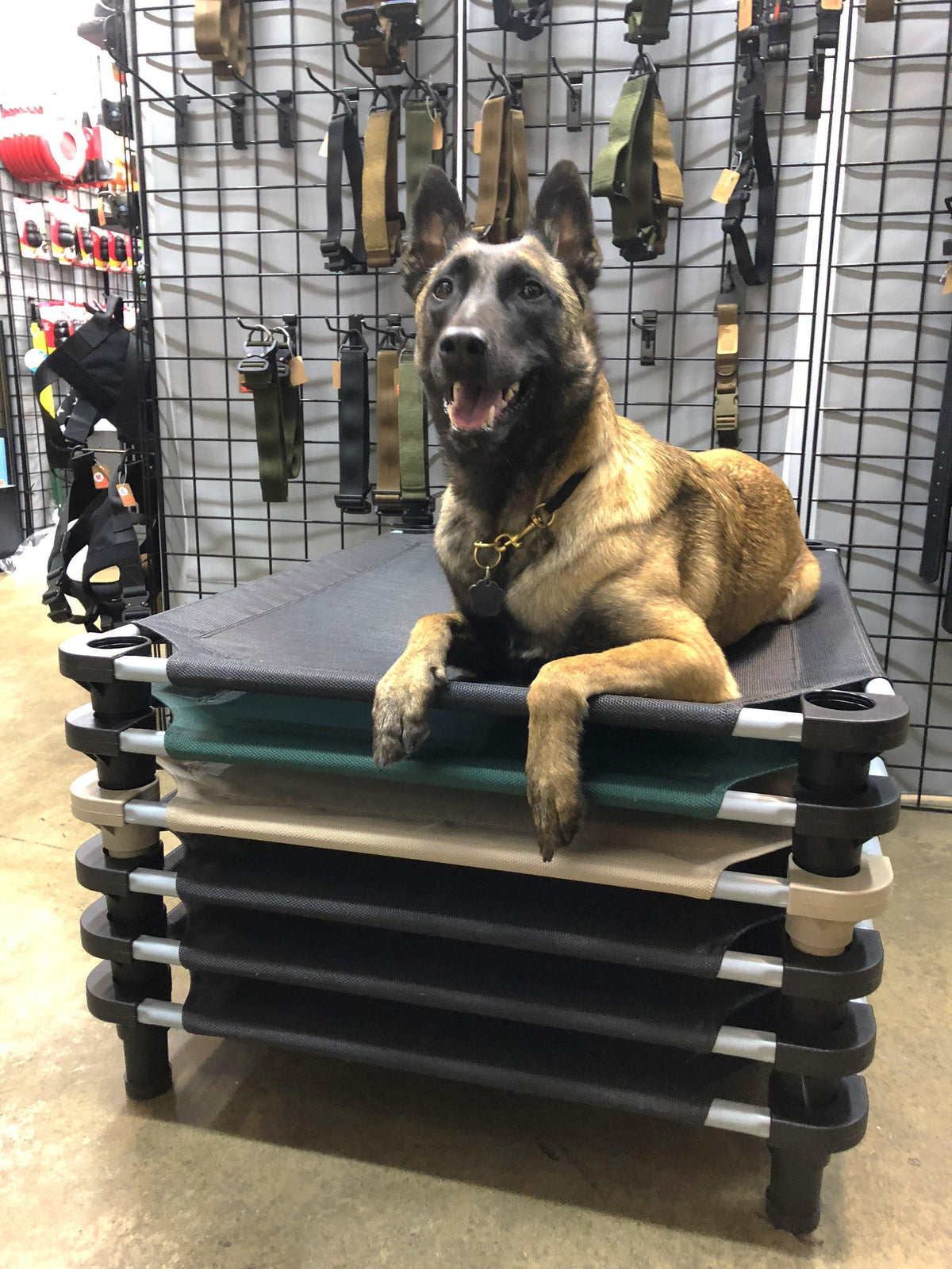 Dog Cot product image 2