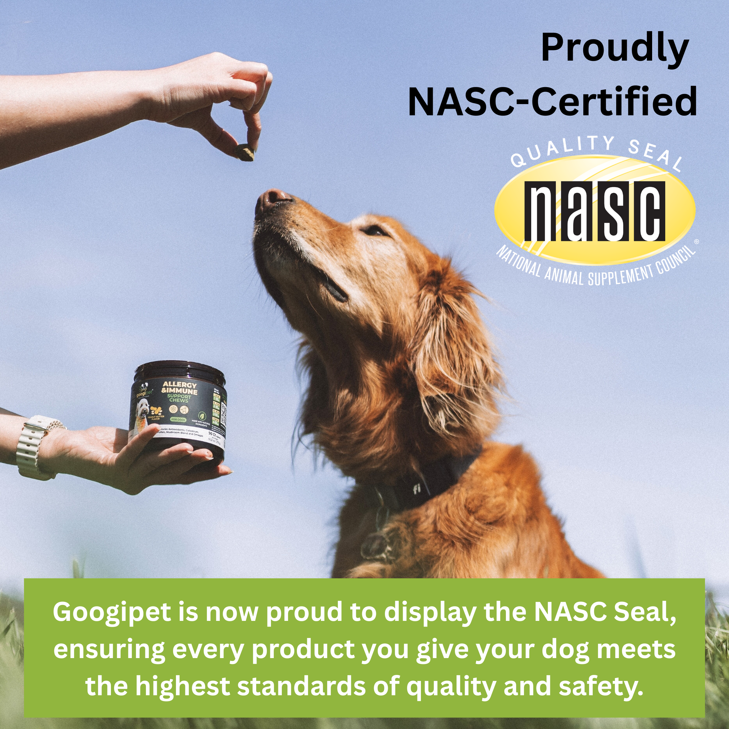 Pet Supplements product image 2