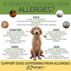 Pet Supplements product image 8