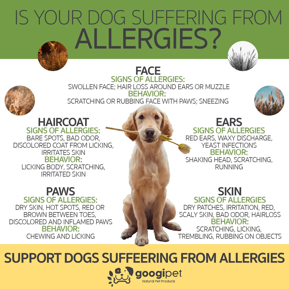 Pet Supplements product image 8
