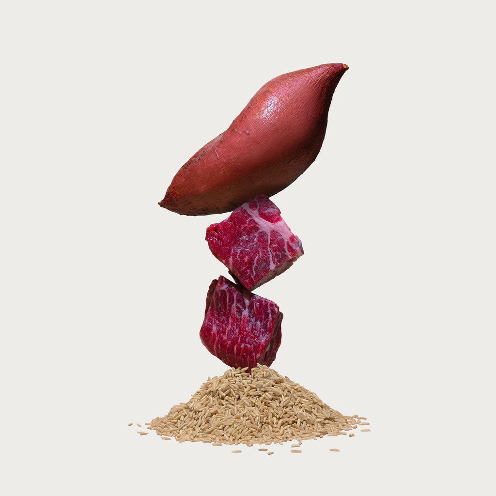 Dry Dog Food product image 4
