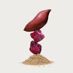 Dry Dog Food product image 4