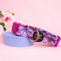 Dog Collar product image 1