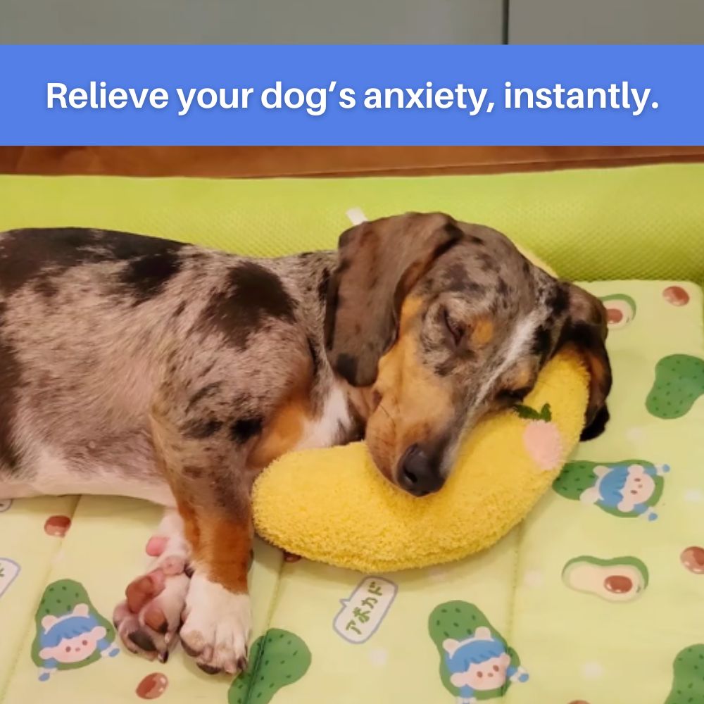 Dog Pillow product image 6
