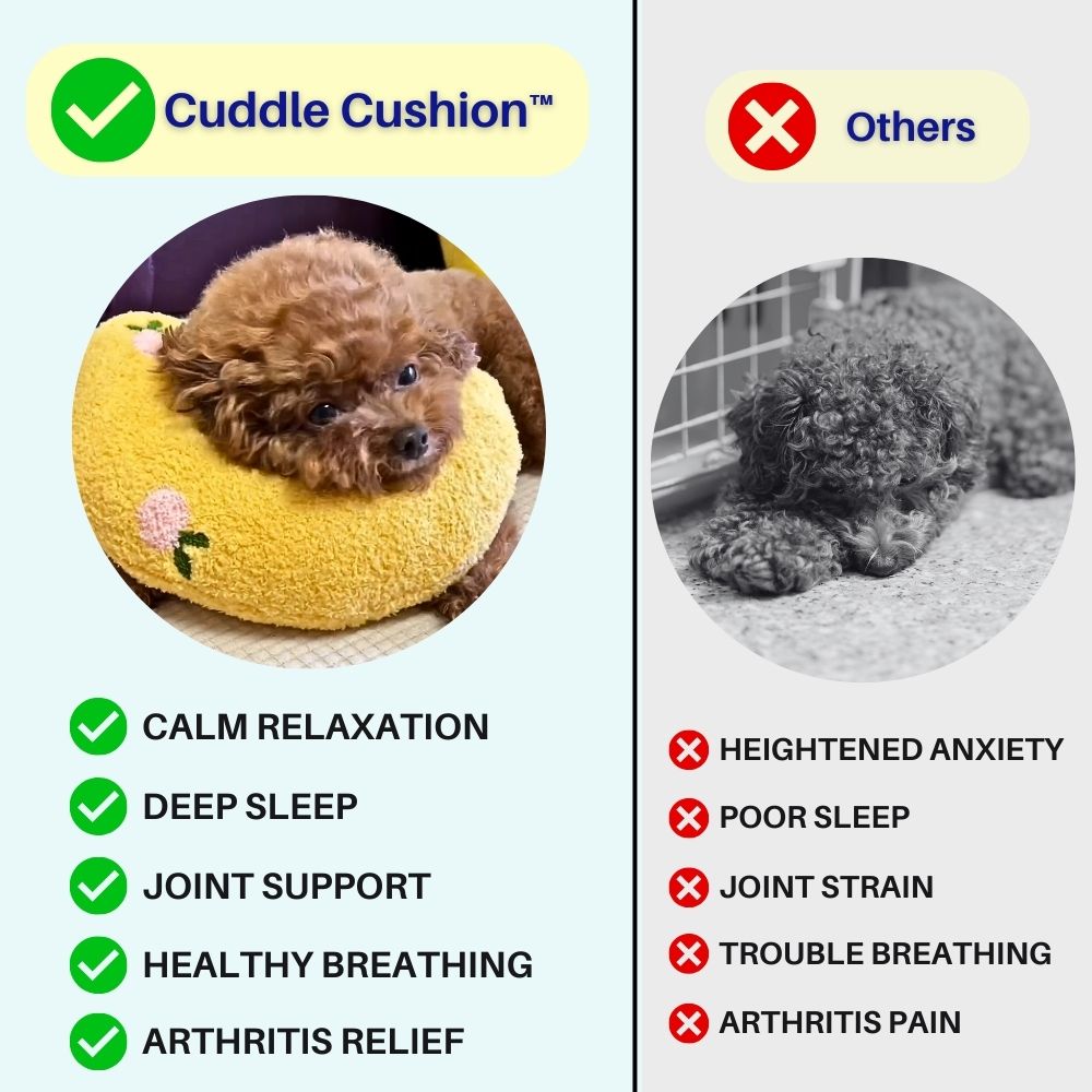 Dog Pillow product image 7