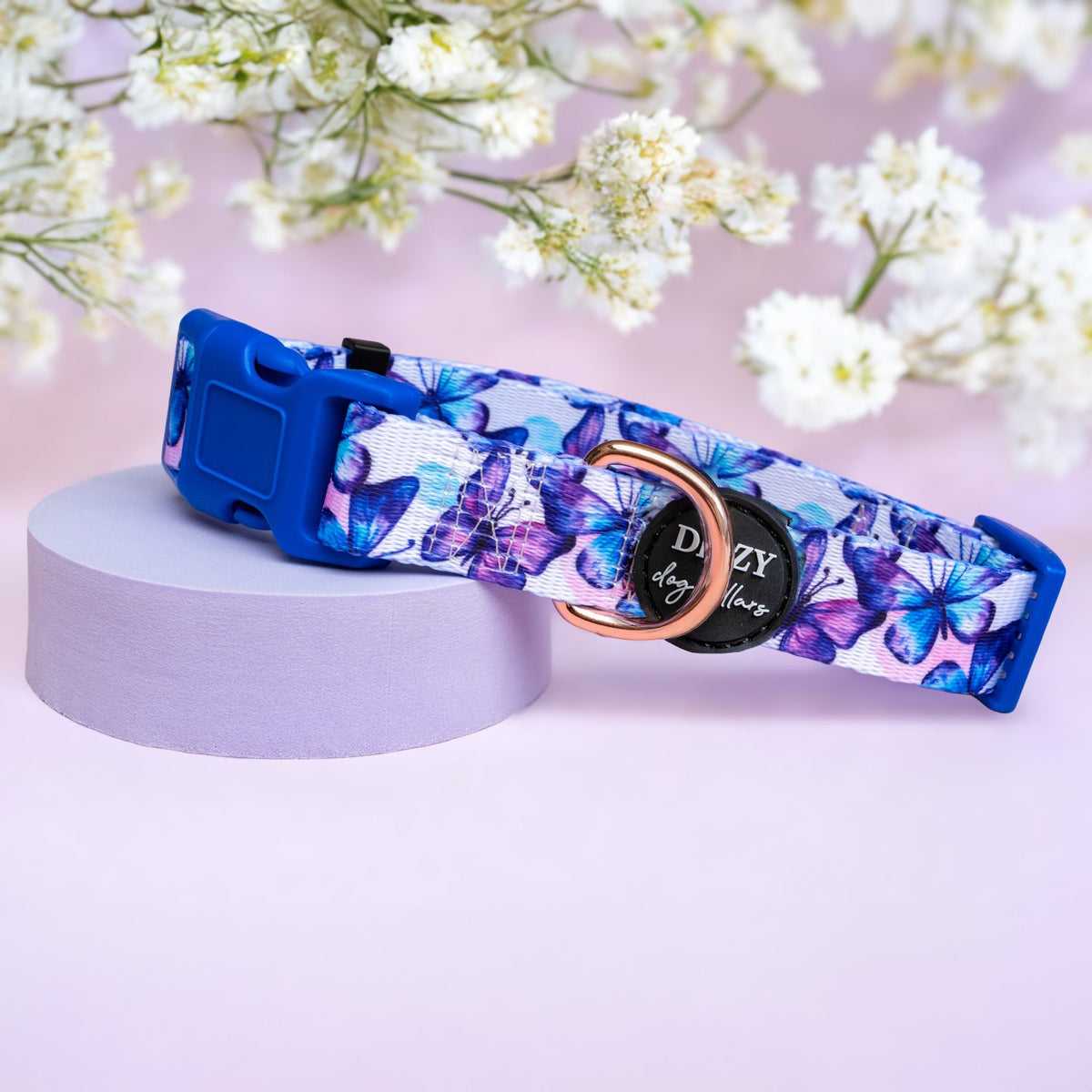 Dog Collar product image 1