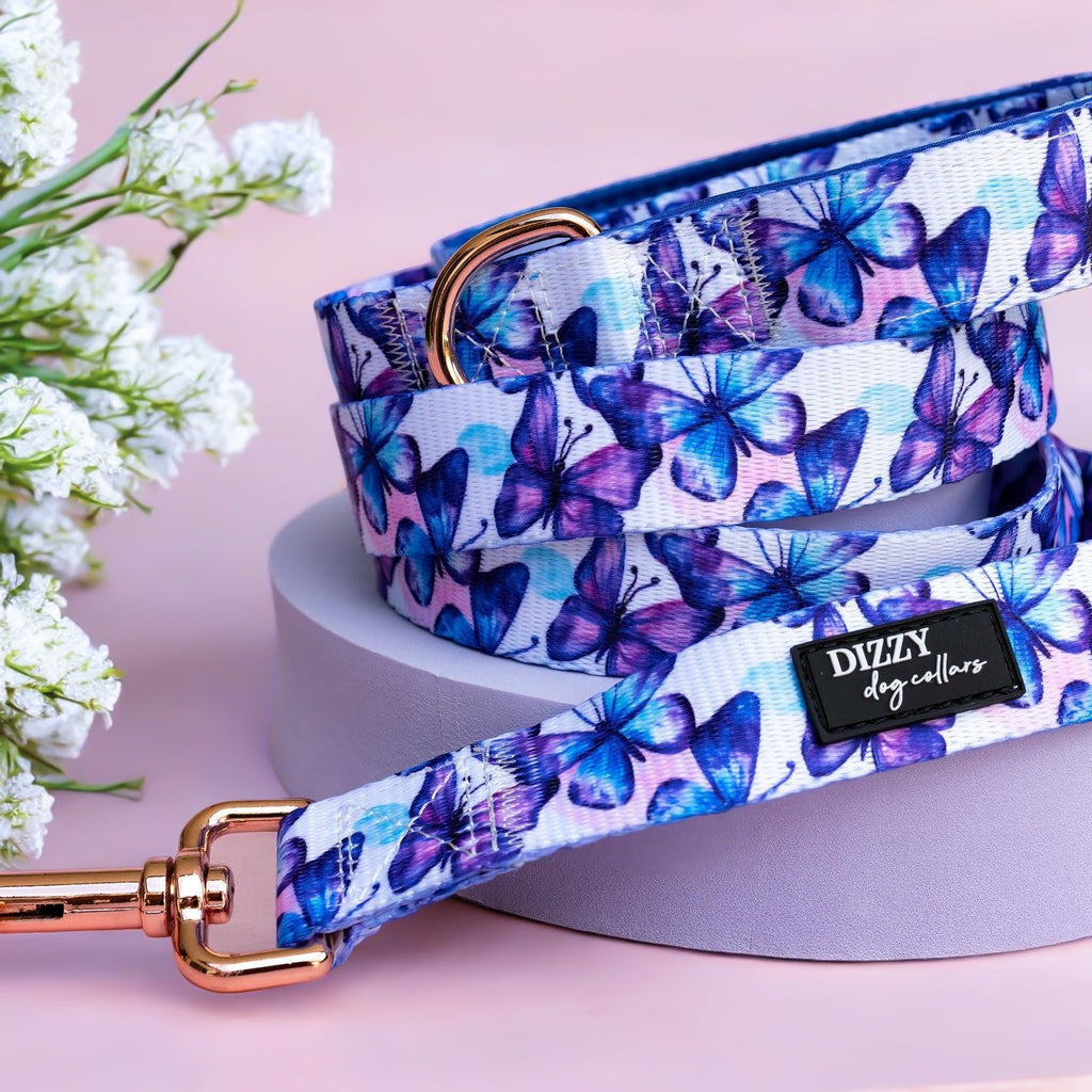 Dog Leash product image 1