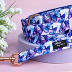 Dog Leash product image 1