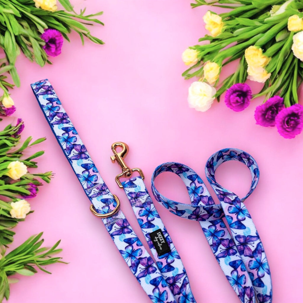 Dog Leash product image 2