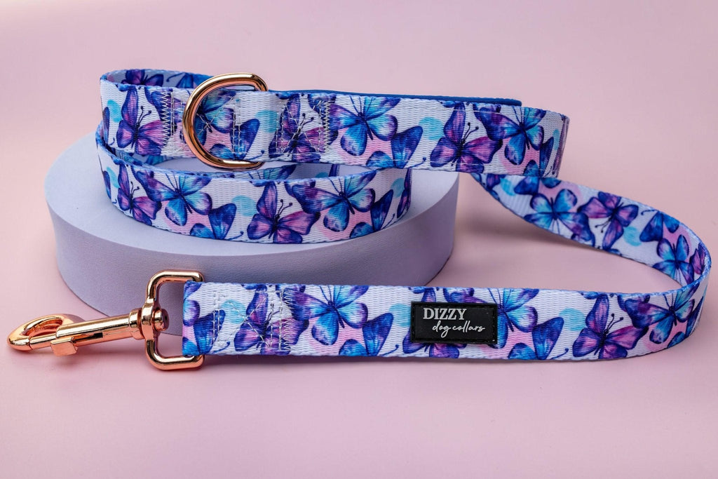 Dog Leash product image 4
