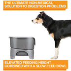 Elevated Slow Feeder product image 5