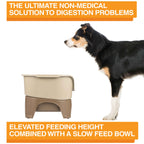 Elevated Slow Feeder product image 13
