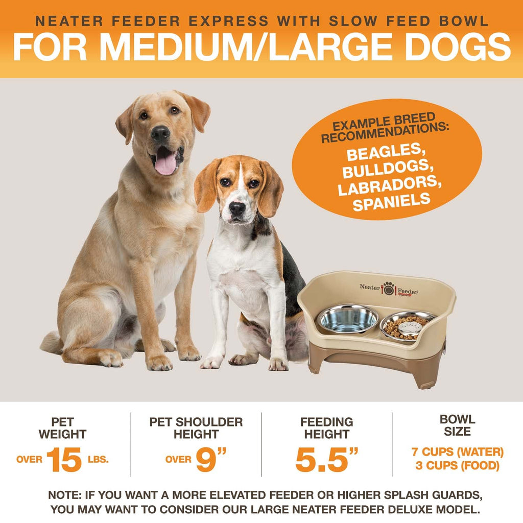 Elevated Slow Feeder product image 14