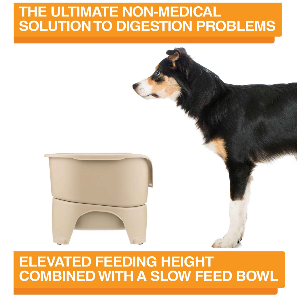Elevated Slow Feeder product image 20