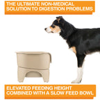 Elevated Slow Feeder product image 20