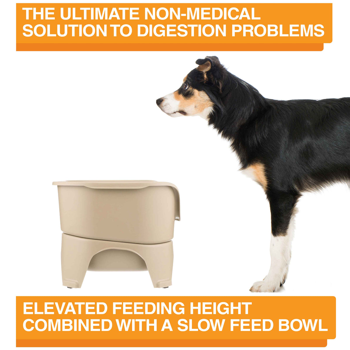 Elevated Slow Feeder product image 20