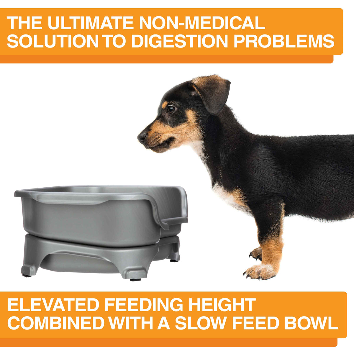 Elevated Slow Feeder product image 34