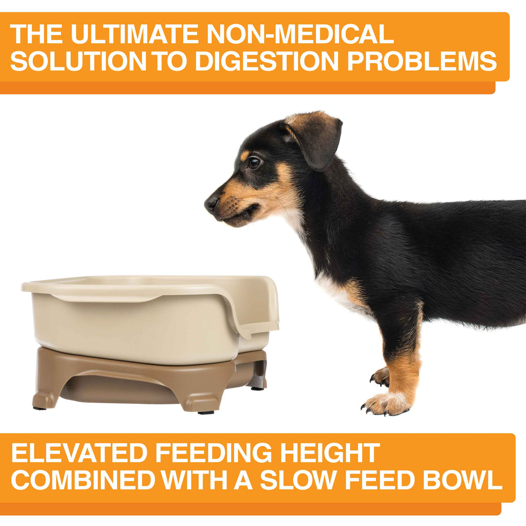 Elevated Slow Feeder product image 41