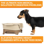 Elevated Slow Feeder product image 41