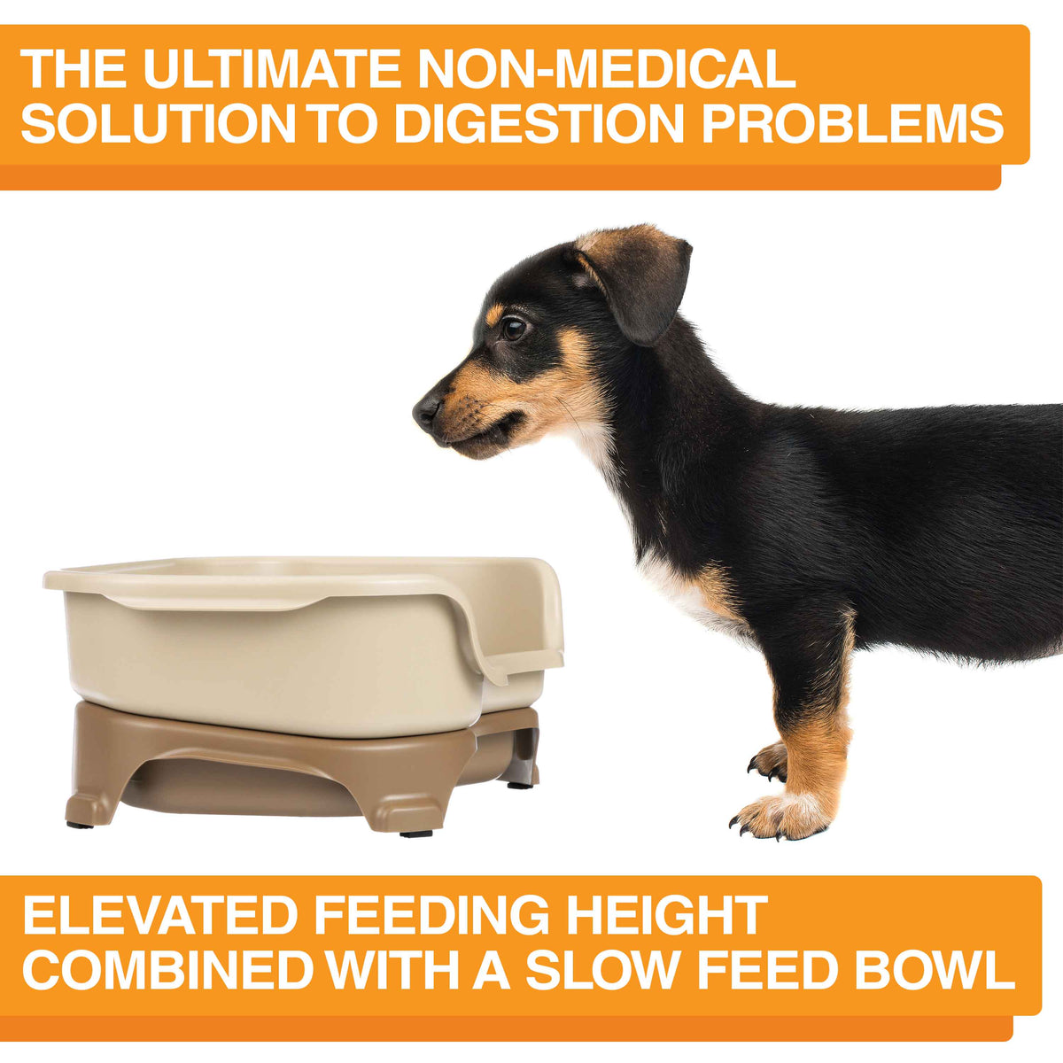Elevated Slow Feeder product image 41