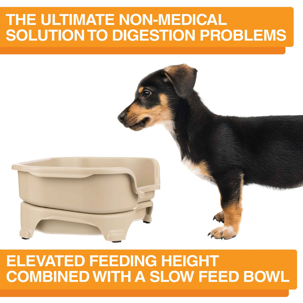 Elevated Slow Feeder product image 47