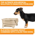 Elevated Slow Feeder product image 47