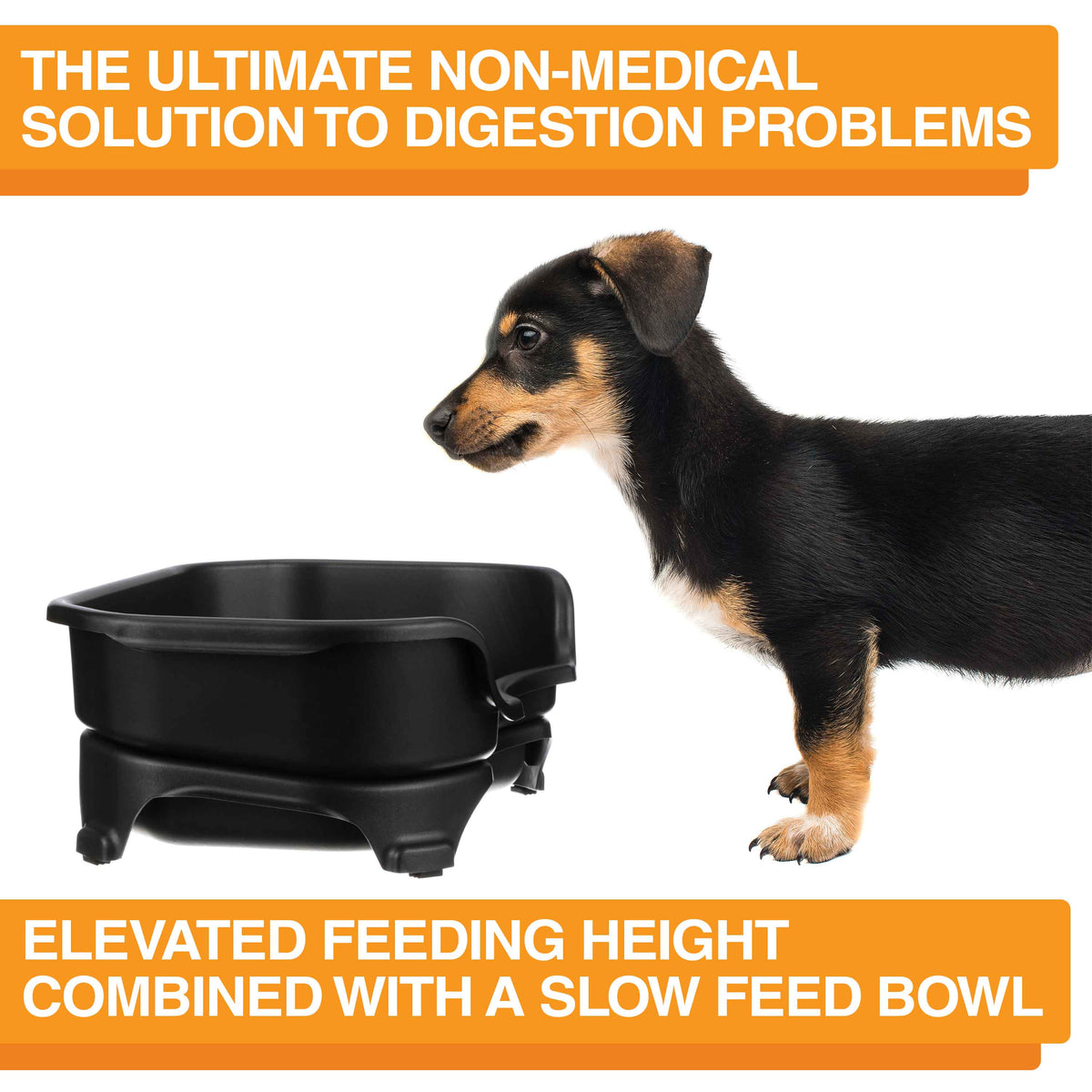 Elevated Slow Feeder product image 53