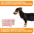 Elevated Slow Feeder product image 59