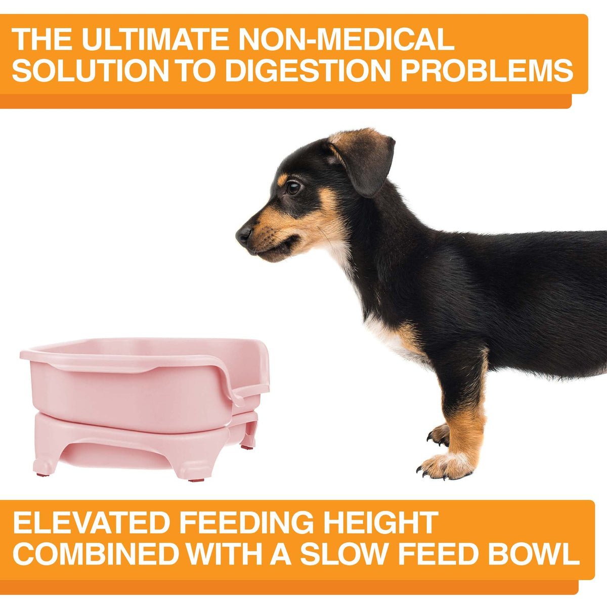Elevated Slow Feeder product image 59