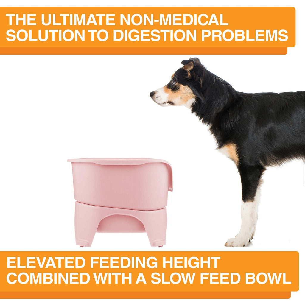Elevated Slow Feeder product image 65