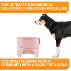 Elevated Slow Feeder product image 65