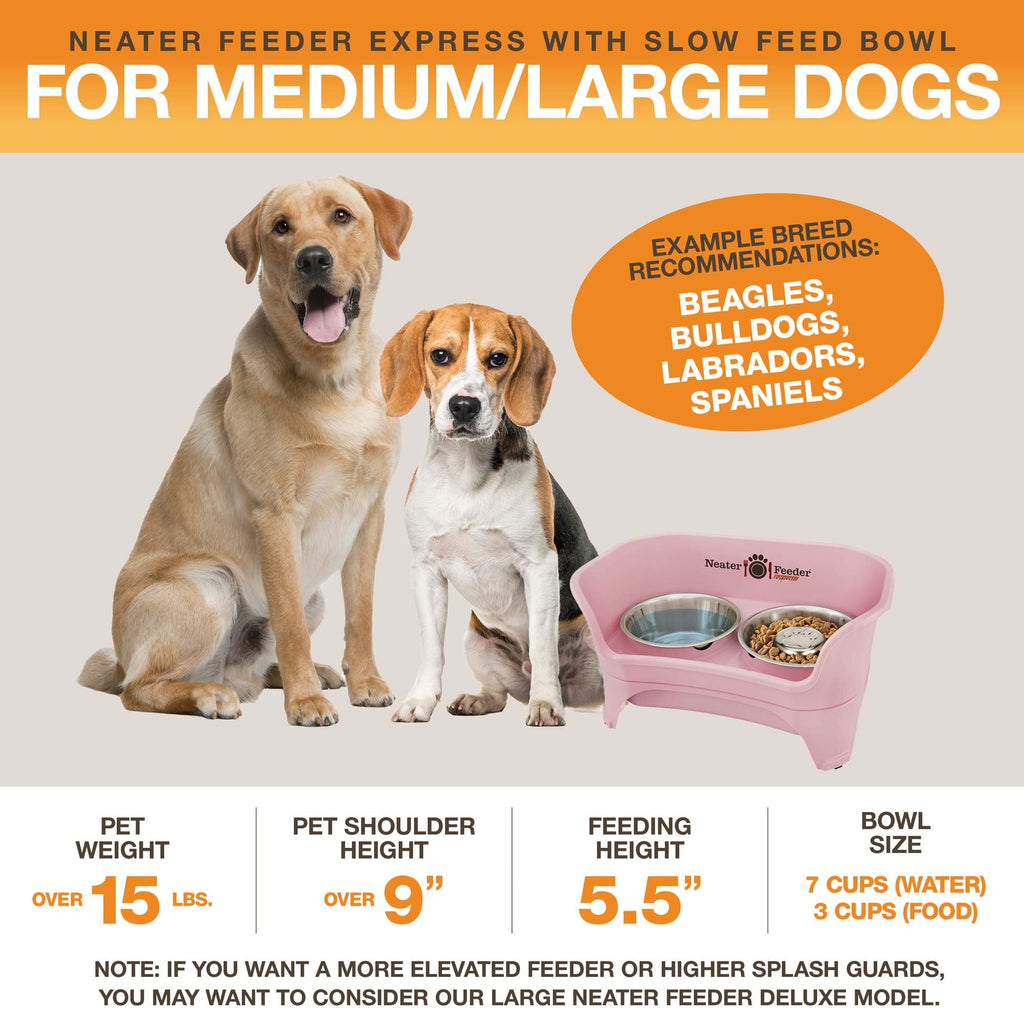 Elevated Slow Feeder product image 67