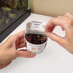 Aquarium Plant product image 3