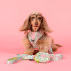 Pet Treat Pouch product image 2