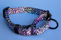 Martingale Dog Collar product image 1
