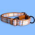 Martingale Dog Collar product image 1