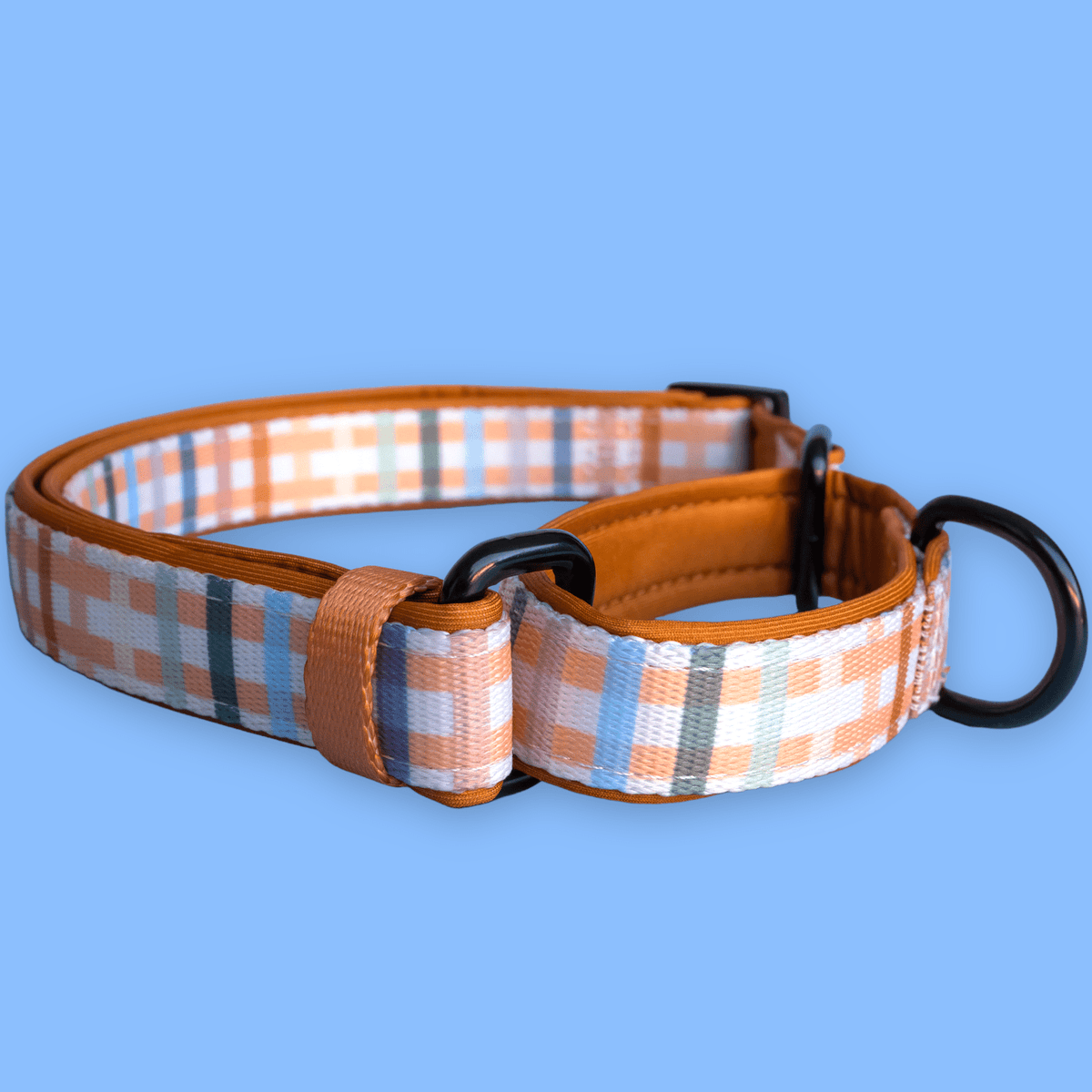 Martingale Dog Collar product image 1
