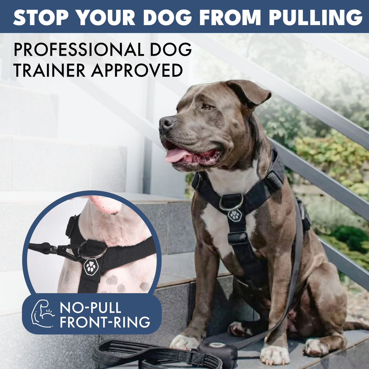 No-Pull Dog Harness Walking Set product image 24