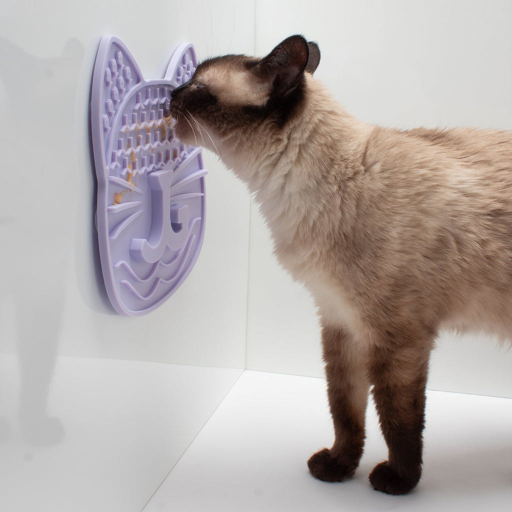 Cat Puzzle Feeding Bundle product image 5