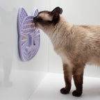 Cat Puzzle Feeding Bundle product image 5