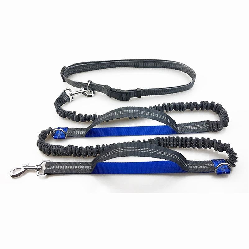 Hands-Free Dog Leash product image 2