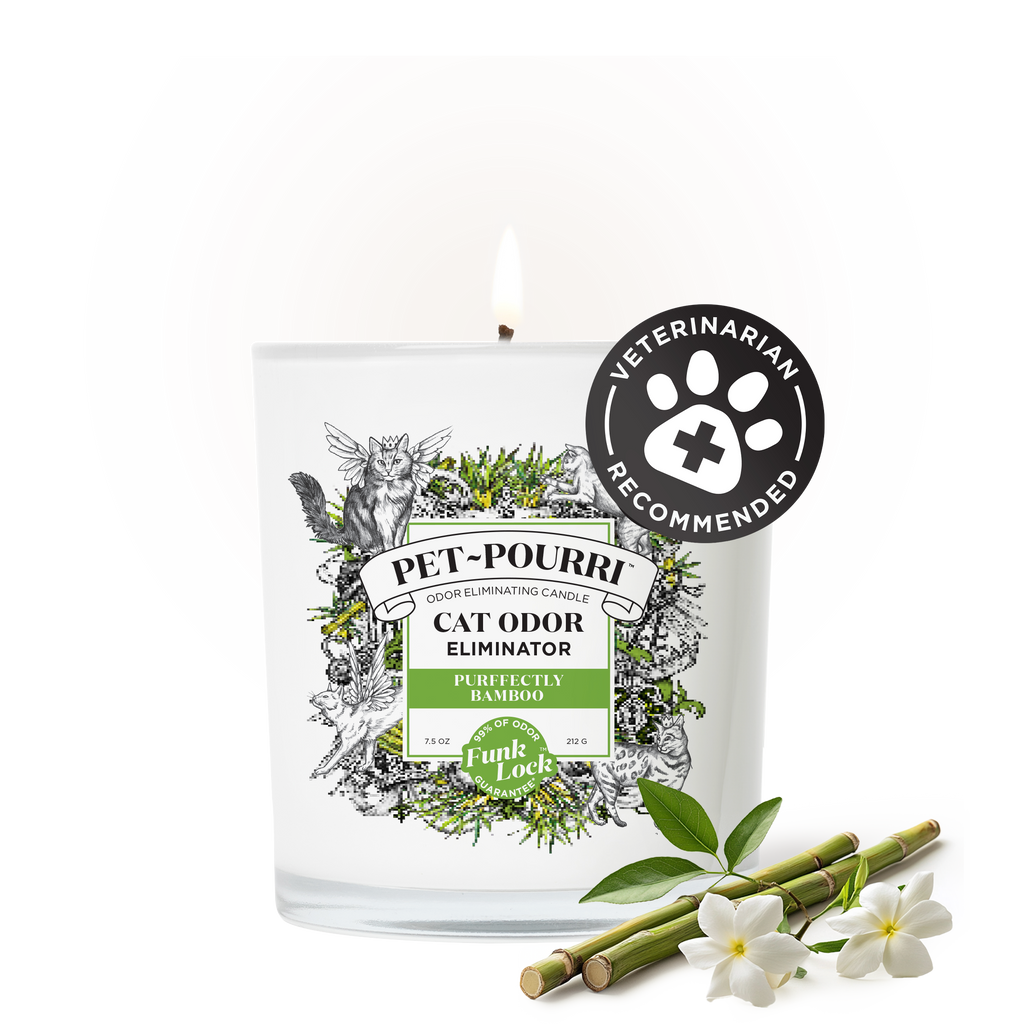 Pet Odor Candle product image 2