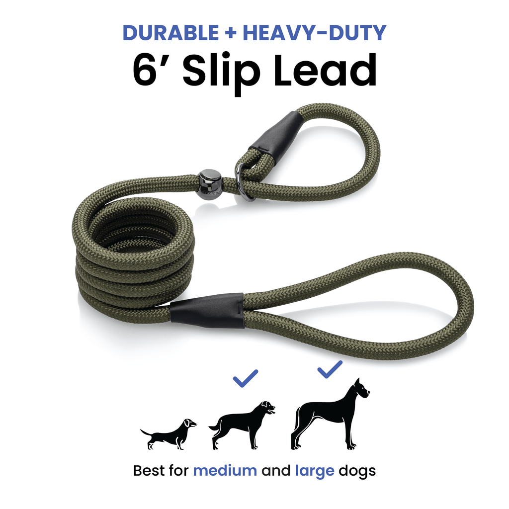 Slip Lead product image 2