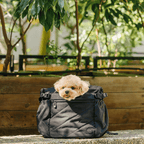 Pet Carrier product image 3