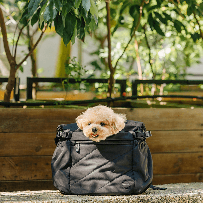 Pet Carrier product image 3
