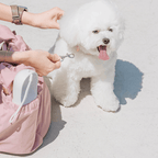 Pet Carrier product image 8
