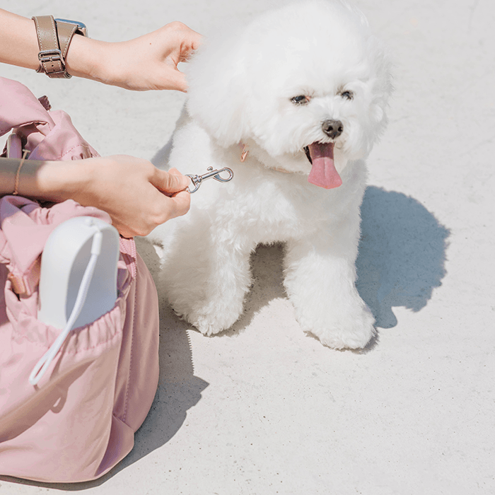 Pet Carrier product image 8