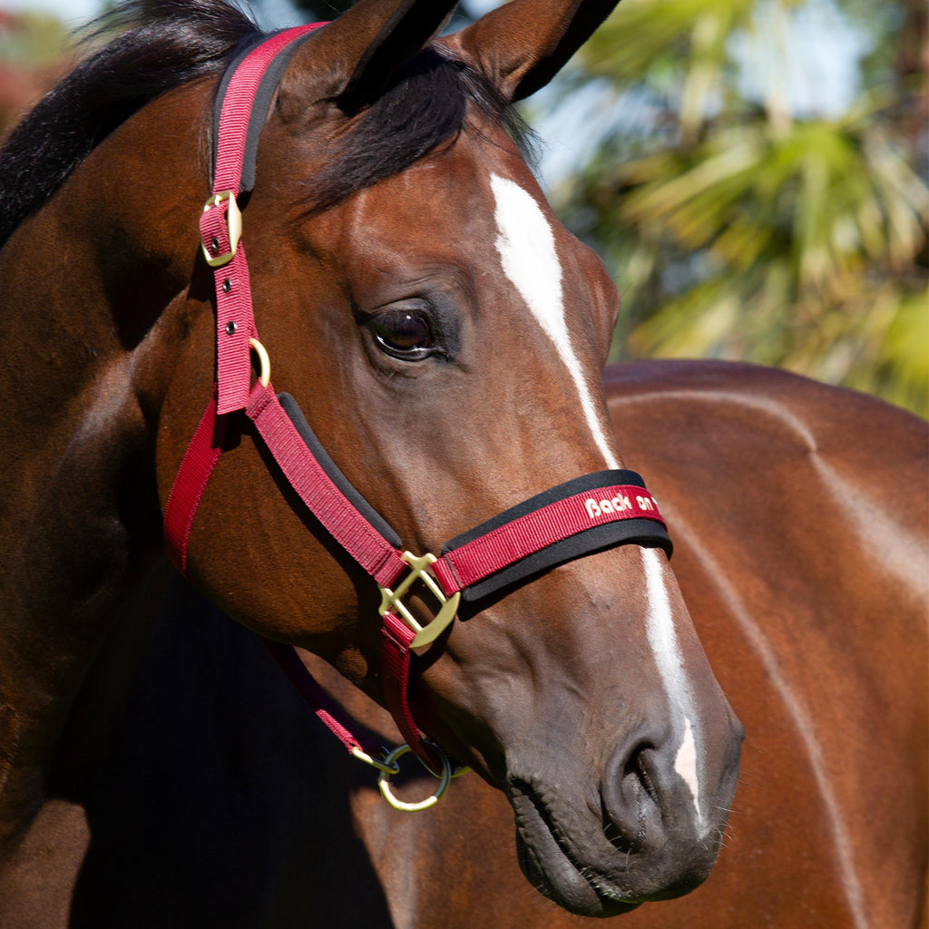 Horse Halter product image 2